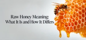 Raw Honey Meaning: What It Is and How It Differs
