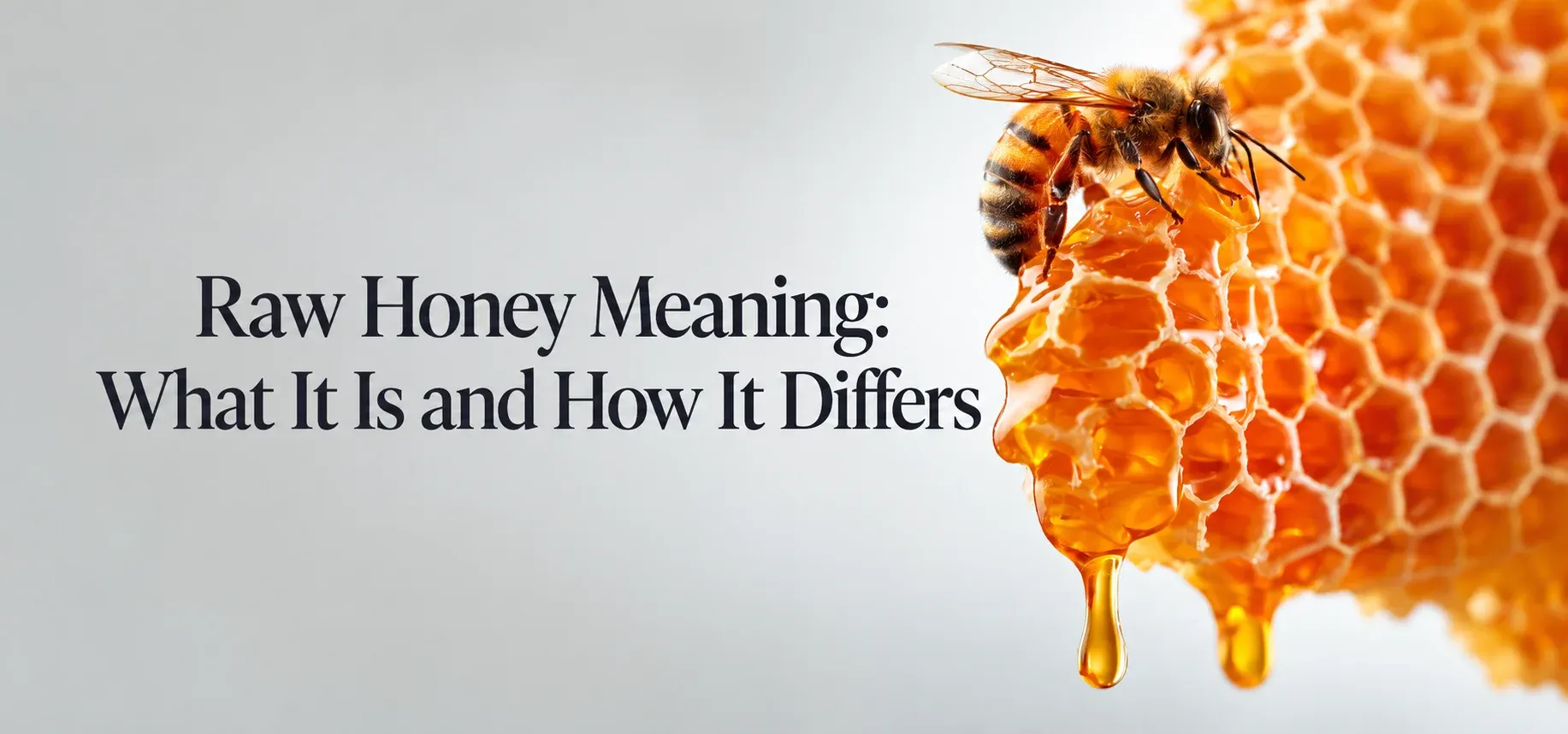 Raw Honey Meaning: What It Is and How It Differs